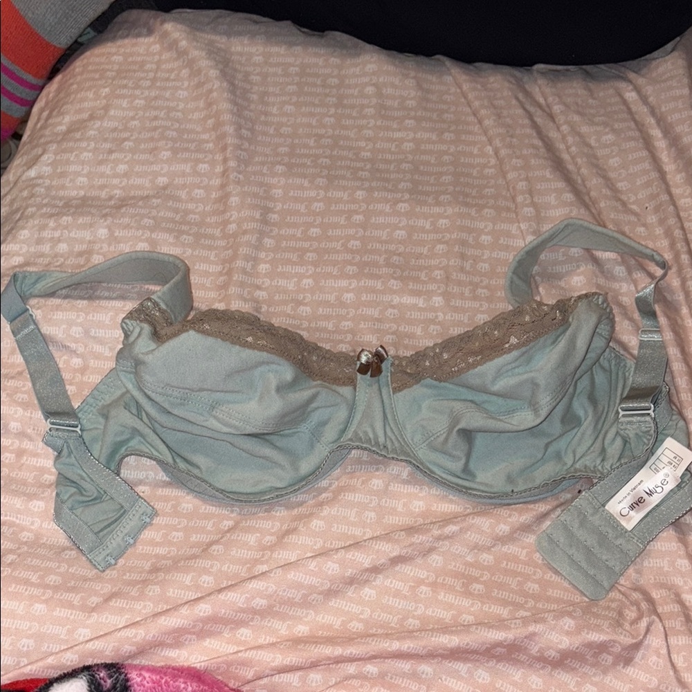 Blue and Brown Bra with Wide Straps and Bow Accents
